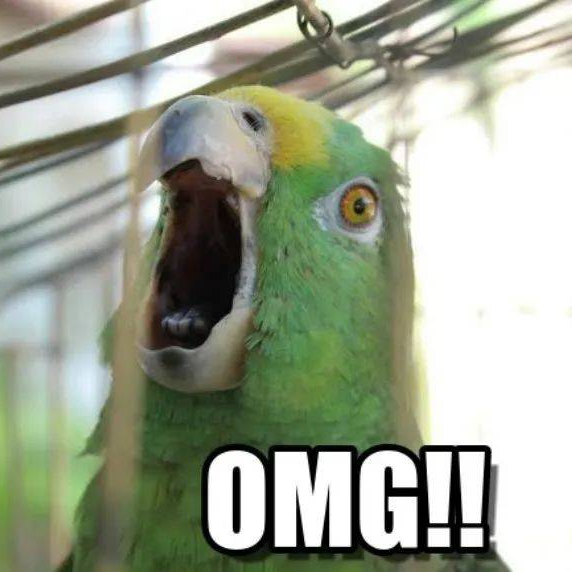 碘是几号元素（碘元素是什么颜色）-硒宝网