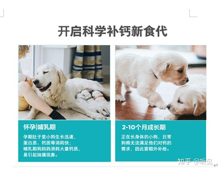 狗狗吃什么补钙最快（狗狗补钙吃什么好液体还是钙片）-硒宝网