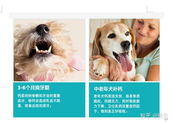 狗狗吃什么补钙最快（狗狗补钙吃什么好液体还是钙片）-硒宝网