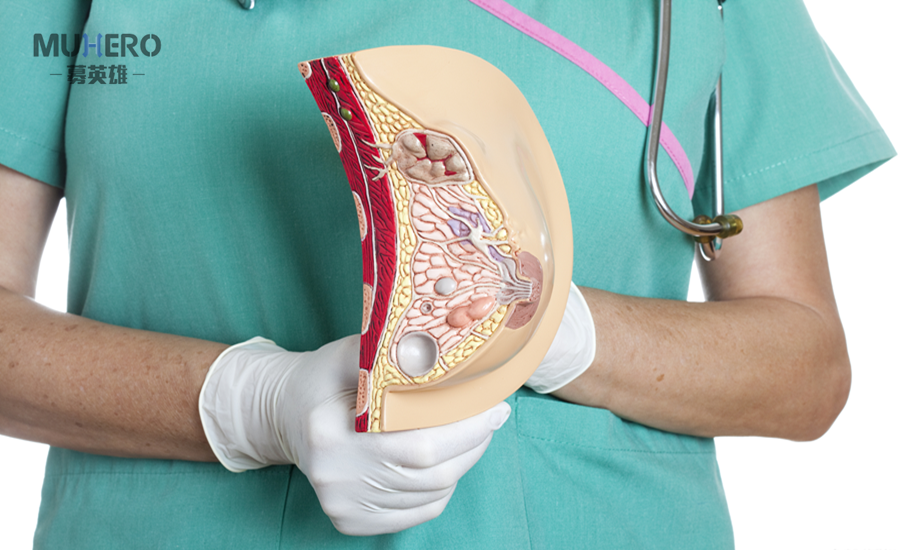 乳腺癌术后怎样补硒(癌术乳腺补硒后多久复查)-硒宝网