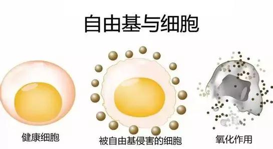 抽烟的人能不能补硒（吸烟硒）-硒宝网