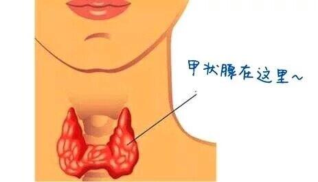 甲亢突眼补硒多少量(甲亢突眼补硒了会好吗)-硒宝网