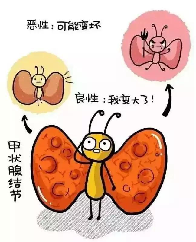 甲亢突眼补硒多少量(甲亢突眼补硒了会好吗)-硒宝网