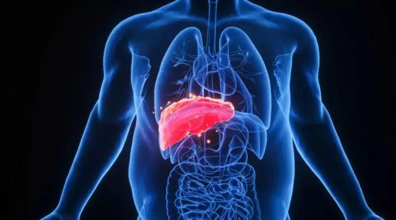 补硒过量会过敏吗吗（过敏体质吃硒可以吗）-硒宝网