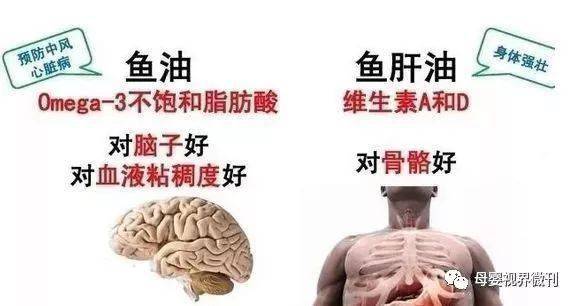 鱼肝油补钙吗（补钙鱼肝油好还是维生素D好）-硒宝网
