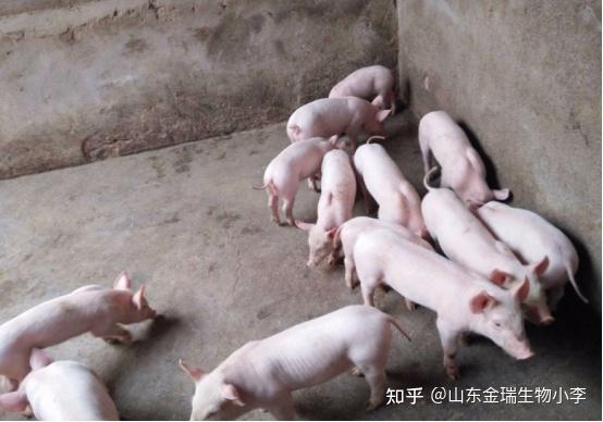 断奶期间可以补硒吗(断奶期间可以吃咸的吗)-硒宝网