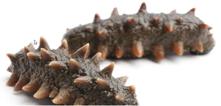 海参是补硒吗怎么吃(海参硒是有啥作用)-硒宝网