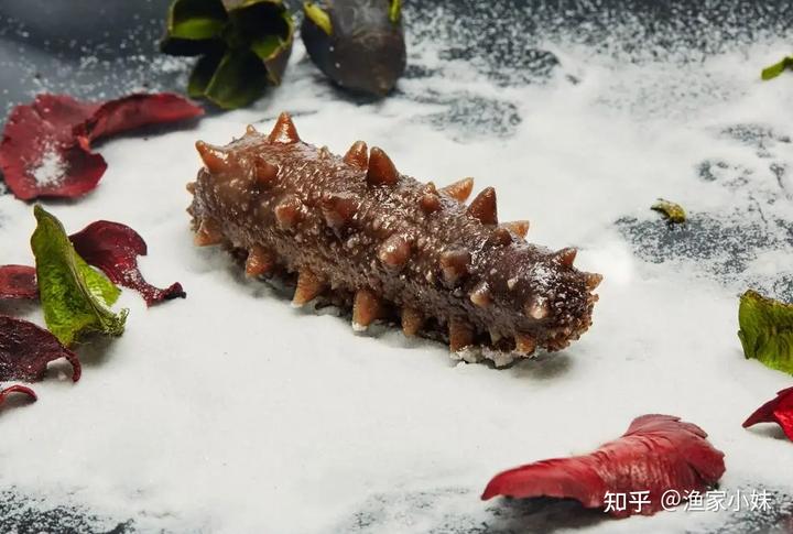 海参是补硒吗怎么吃(请问海参硒含量多少)-硒宝网