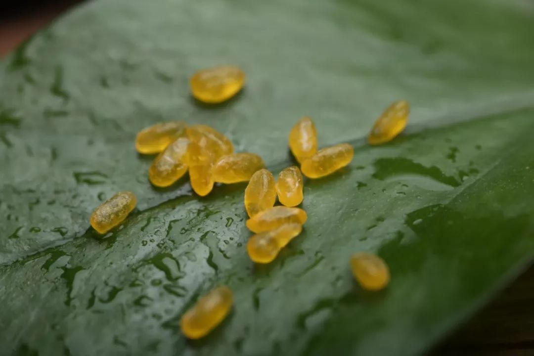 儿童吃啥补硒好吸收(孩子补硒吃什么)-硒宝网