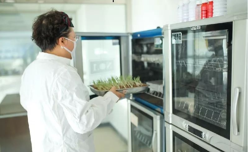 儿童吃啥补硒好吸收(孩子补硒吃什么)-硒宝网