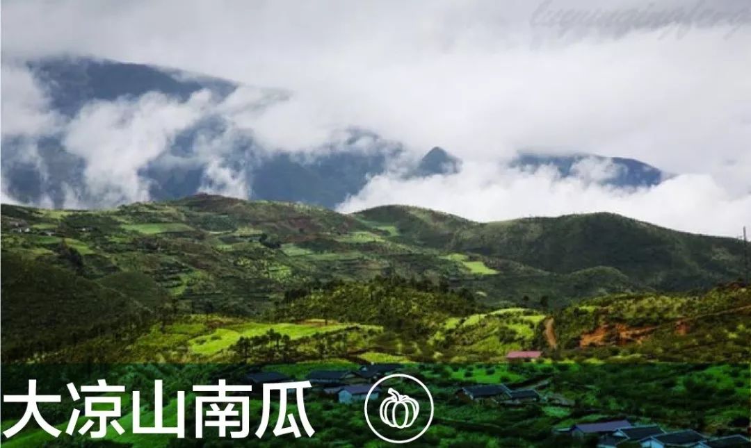 儿童吃啥补硒好吸收(孩子补硒吃什么)-硒宝网