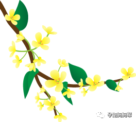 孕妇几个月开始补钙(孕妇补钙开始)-硒宝网