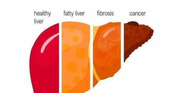 补硒可以护肝吗女性(补女性护肝硒可以吃多久)-硒宝网