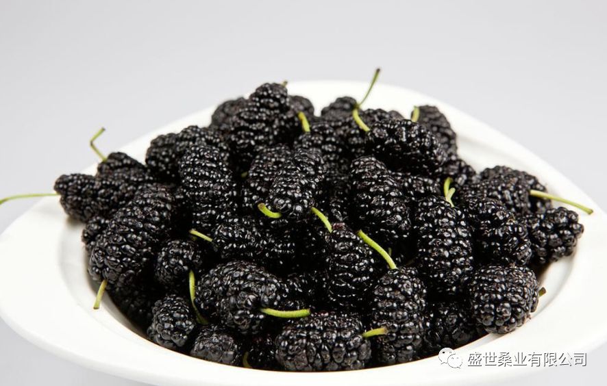 桑葚干怎么吃才补硒（吃桑葚干补什么）-硒宝网