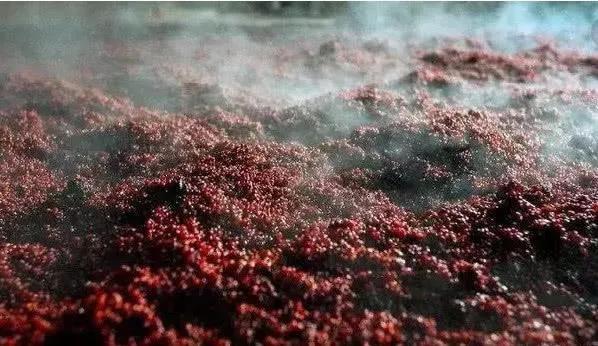 微量元素多少钱一瓶(微量元素j)-硒宝网