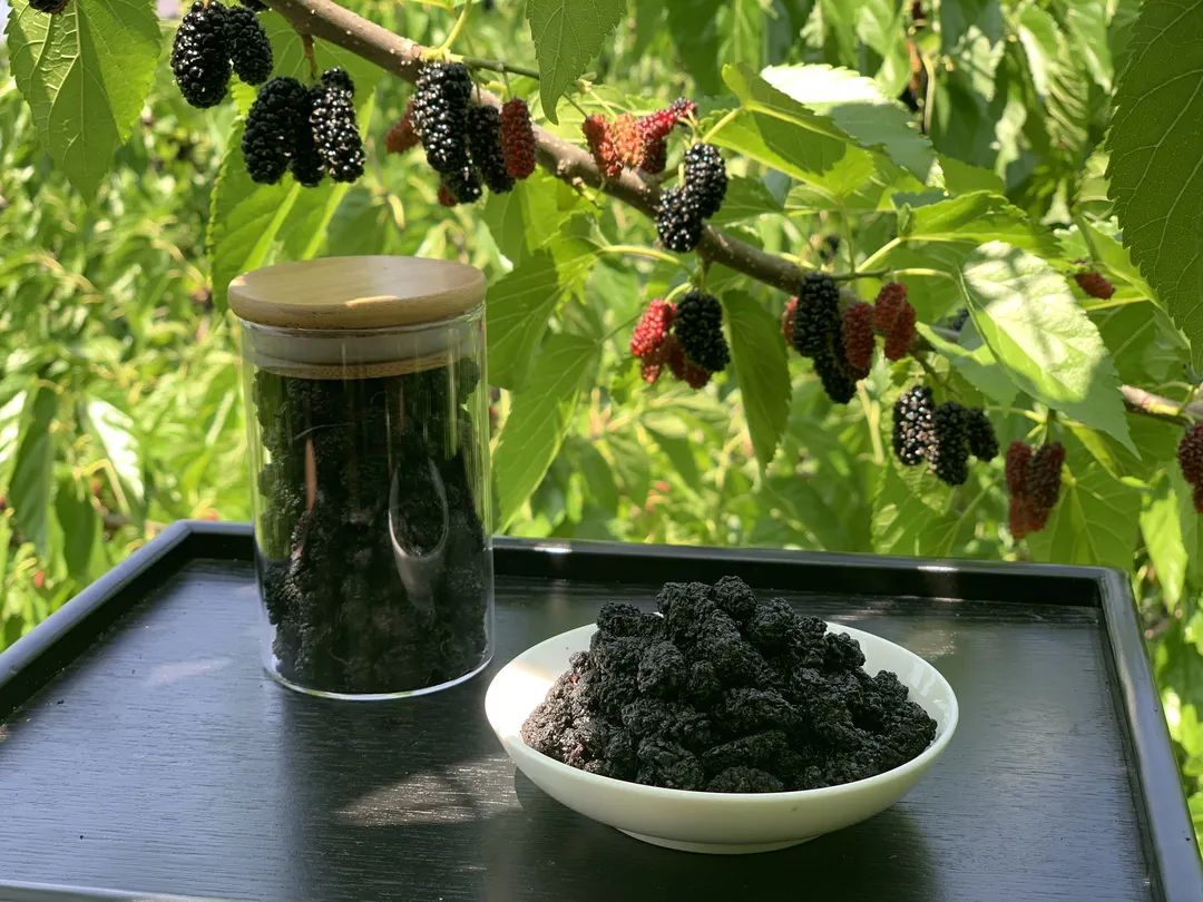 桑葚干怎么吃才补硒（吃桑葚干可以补肾吗）-硒宝网