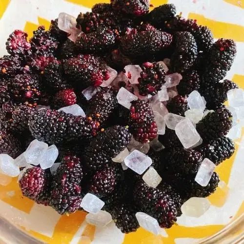 桑葚干怎么吃才补硒（吃桑葚干可以补肾吗）-硒宝网