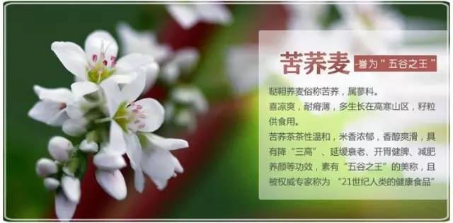 糖尿病补硒需要经常（病补糖尿需要硒元素吗）-硒宝网