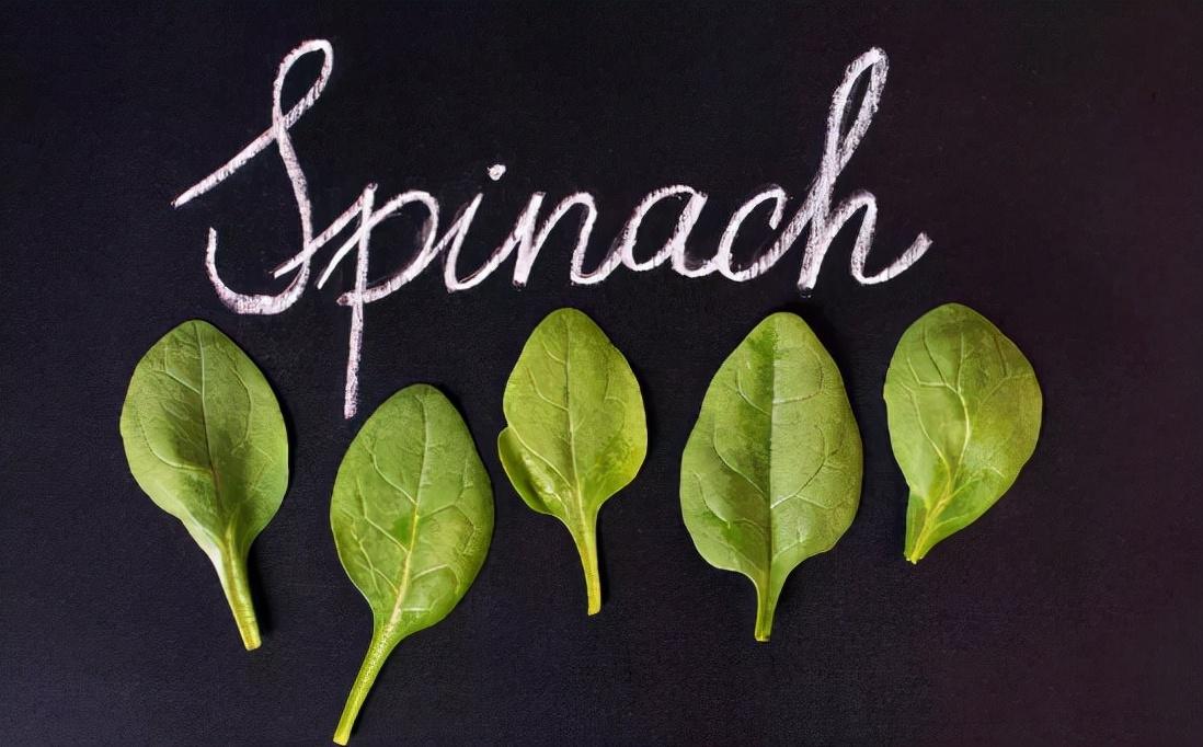 菠菜补铁吗(菠菜补铁是谣言吗)-硒宝网