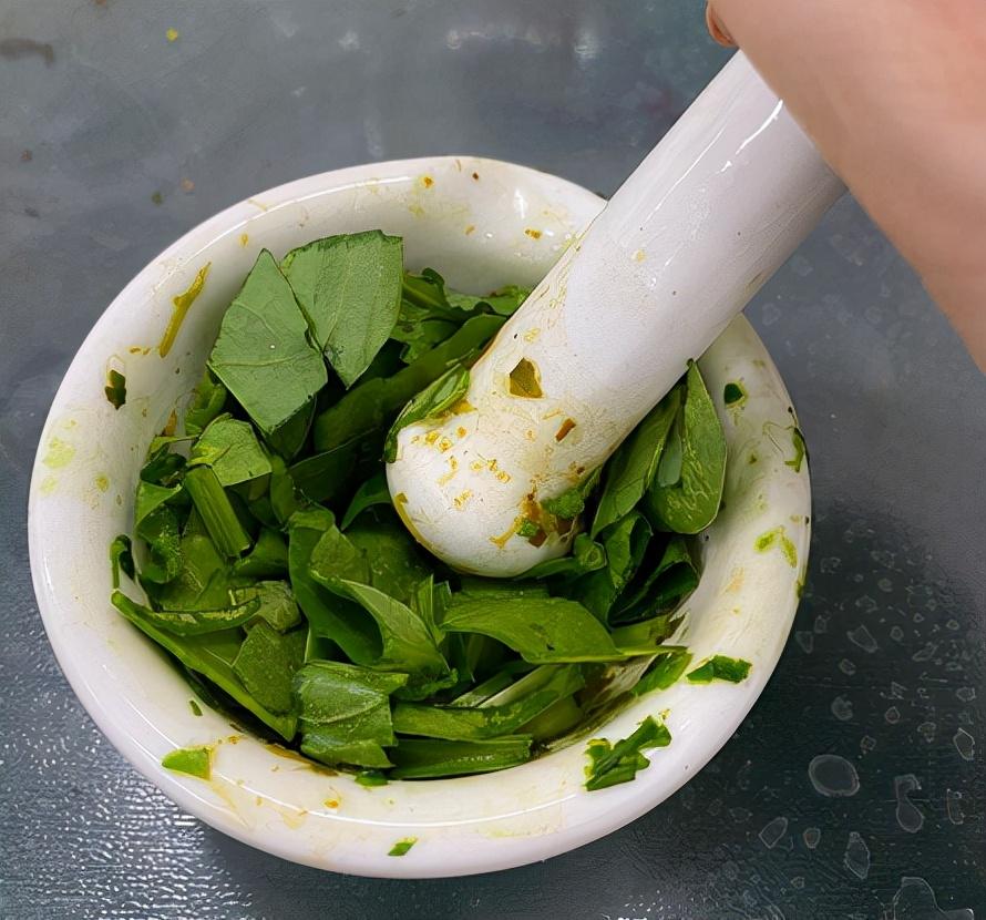 菠菜补铁吗(菠菜补铁是谣言吗)-硒宝网