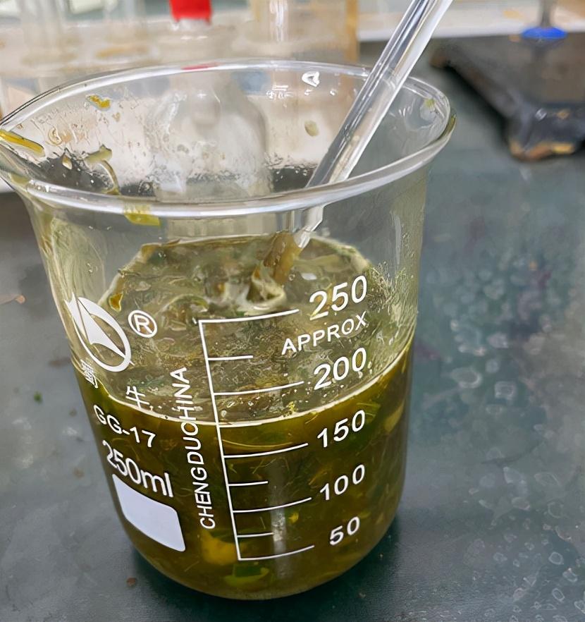 菠菜补铁吗(菠菜补铁是谣言吗)-硒宝网