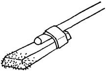 菠菜补铁（菠菜补铁还是补钙）-硒宝网