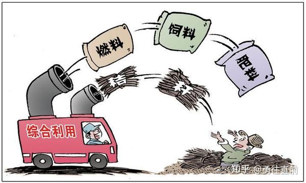 微量元素水溶肥(微量元素水溶肥怎么浇花)-硒宝网