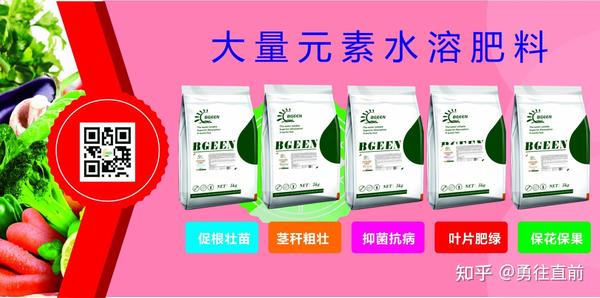 微量元素水溶肥(微量元素水溶肥怎么浇花)-硒宝网