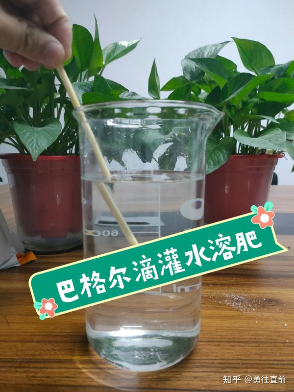 微量元素水溶肥(微量元素水溶肥怎么浇花)-硒宝网