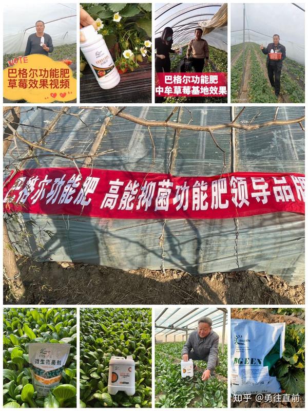 微量元素水溶肥(微量元素水溶肥怎么浇花)-硒宝网