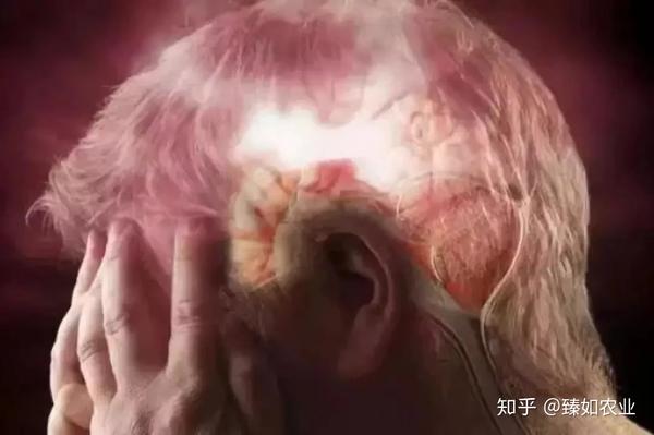 长期补硒导致血压高（补硒对高血压有啥好处）-硒宝网