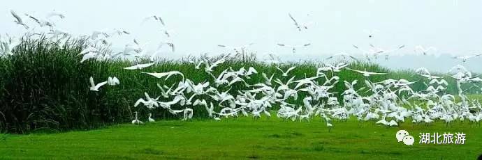 到恩施吃住能补硒吗(恩施硒的好处)-硒宝网