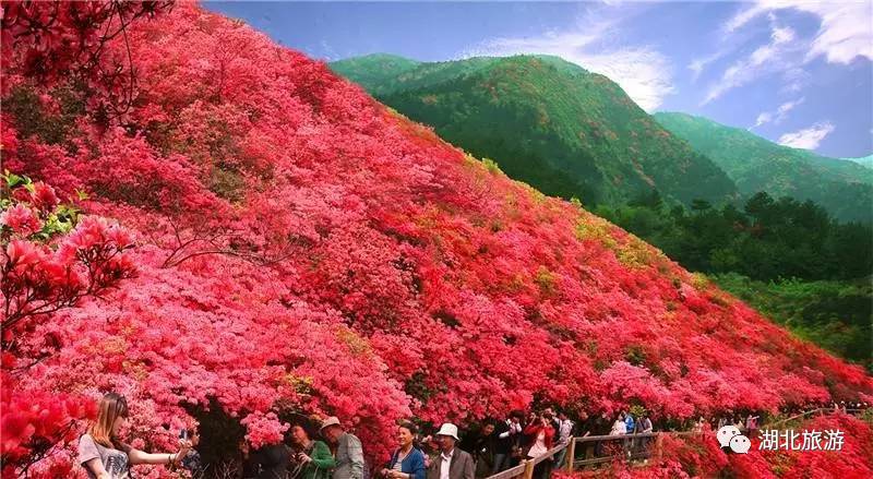 到恩施吃住能补硒吗(恩施硒的好处)-硒宝网