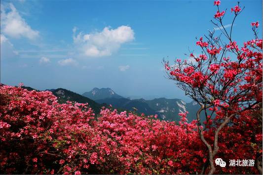 到恩施吃住能补硒吗(恩施硒的好处)-硒宝网