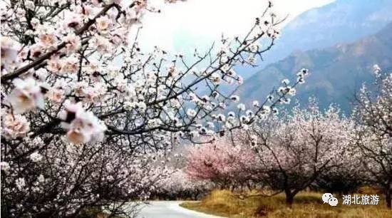 到恩施吃住能补硒吗(恩施硒的好处)-硒宝网