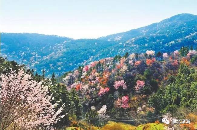 到恩施吃住能补硒吗(恩施硒的好处)-硒宝网