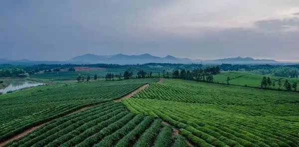 到恩施吃住能补硒吗(恩施硒的好处)-硒宝网