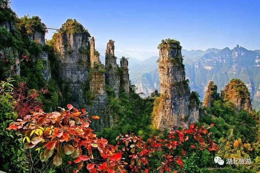 到恩施吃住能补硒吗(恩施硒的好处)-硒宝网