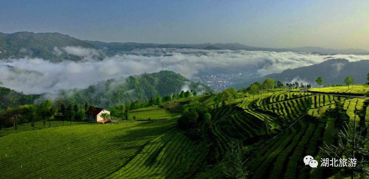 到恩施吃住能补硒吗(恩施硒的好处)-硒宝网