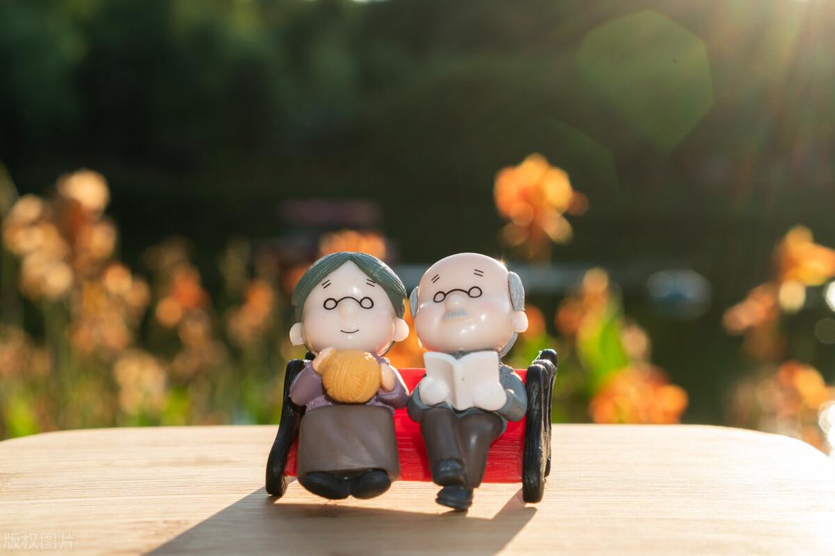 老年人补钙吃什么食物(食物补钙老年吃人参好吗)-硒宝网