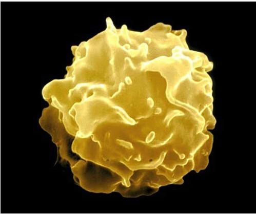 放化疗当中能补硒吗（化疗补硒管用吗）-硒宝网