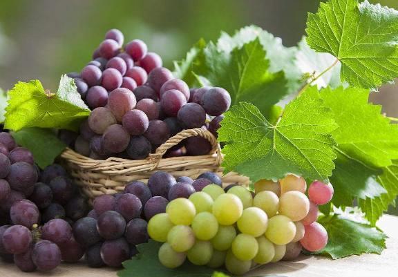 孕妇要补铁吗(孕妇补铁要补到几个月)-硒宝网