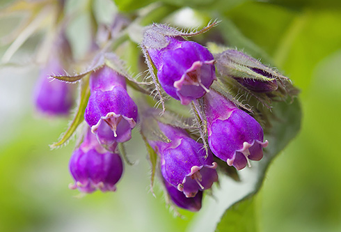 补硒锌片真的有用吗(锌硒片补肾吗)-硒宝网