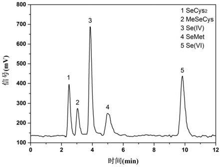 补有机硒过量怎么办（过量补硒的危害）-硒宝网