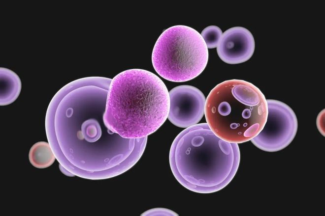 维生素补硒元素含量(补充维生素硒的食物)-硒宝网