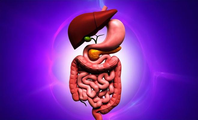 维生素补硒元素含量(补充维生素硒的食物)-硒宝网