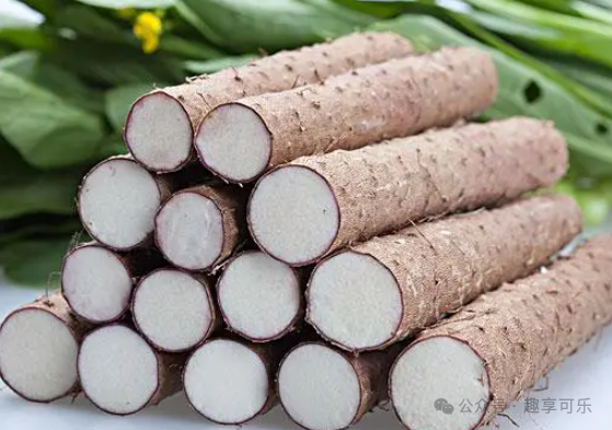 海带补铁吗（海带补铁还是补碘）-硒宝网