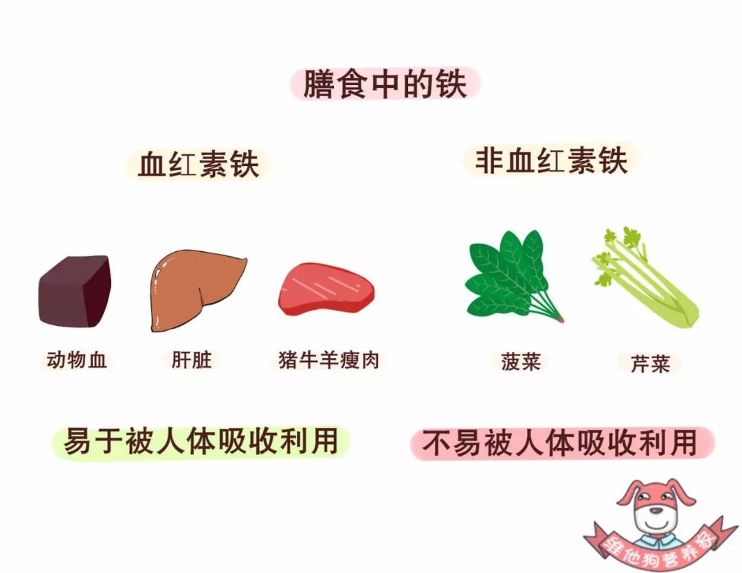 怎样补铁(补铁有什么作用和功效)-硒宝网