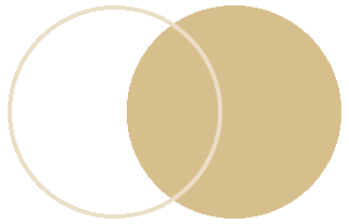 怎样补铁(补铁的水果)-硒宝网