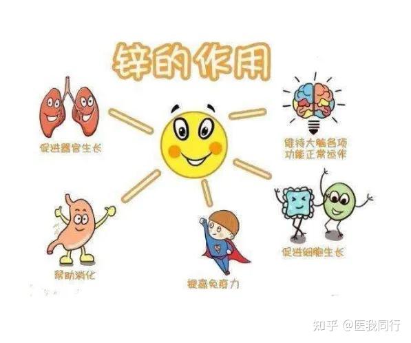 孕妇缺锌和硒怎么补(孕妇补缺锌硒有用吗)-硒宝网